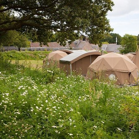 Durrell Wildlife Camp Otel Trinity Oda fotoğraf