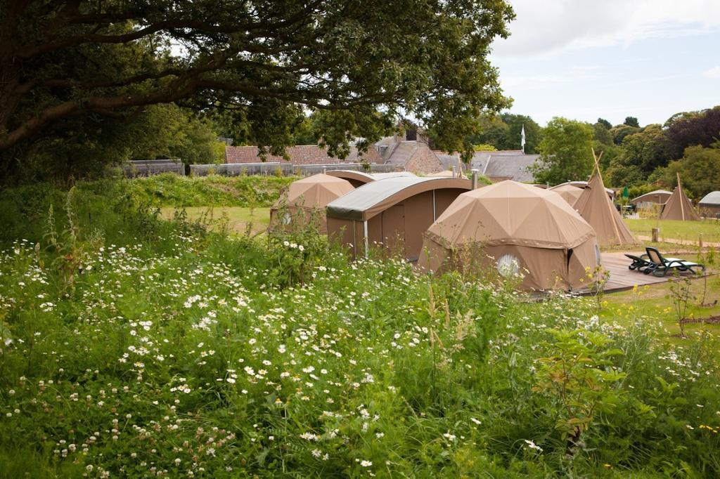 Durrell Wildlife Camp Otel Trinity Oda fotoğraf