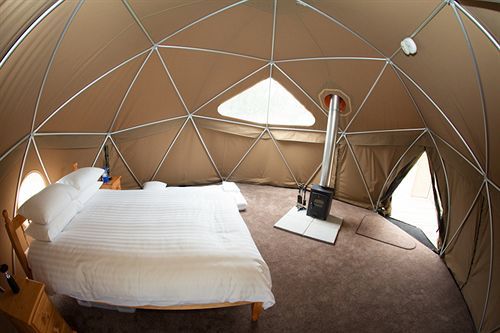 Durrell Wildlife Camp Otel Trinity Dış mekan fotoğraf