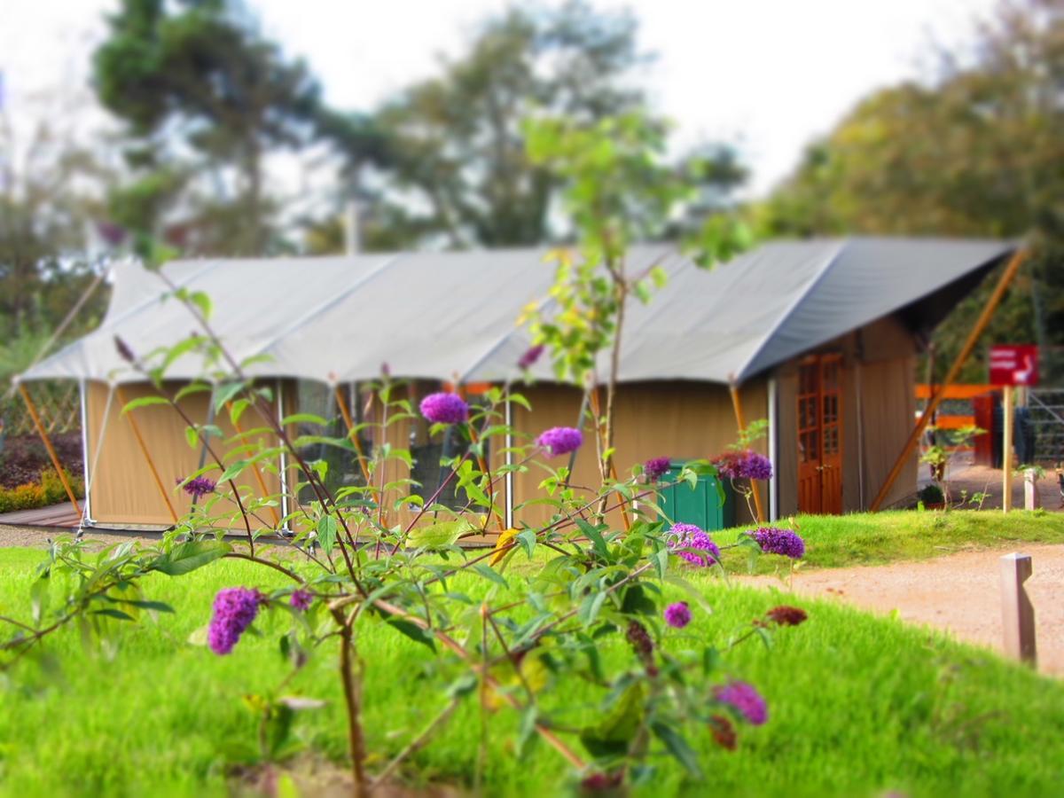 Durrell Wildlife Camp Otel Trinity Dış mekan fotoğraf